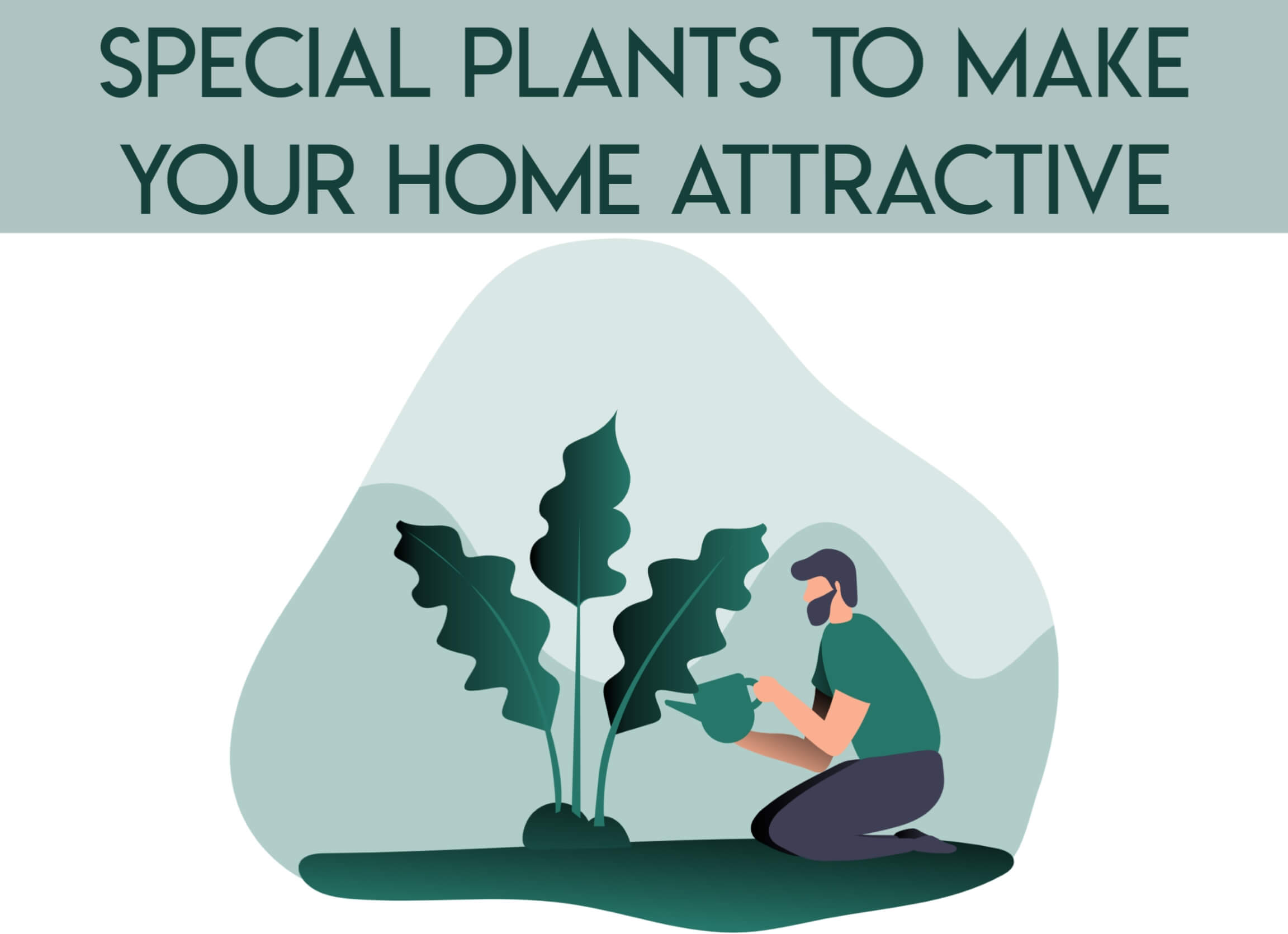 special plants to maker your home attractive