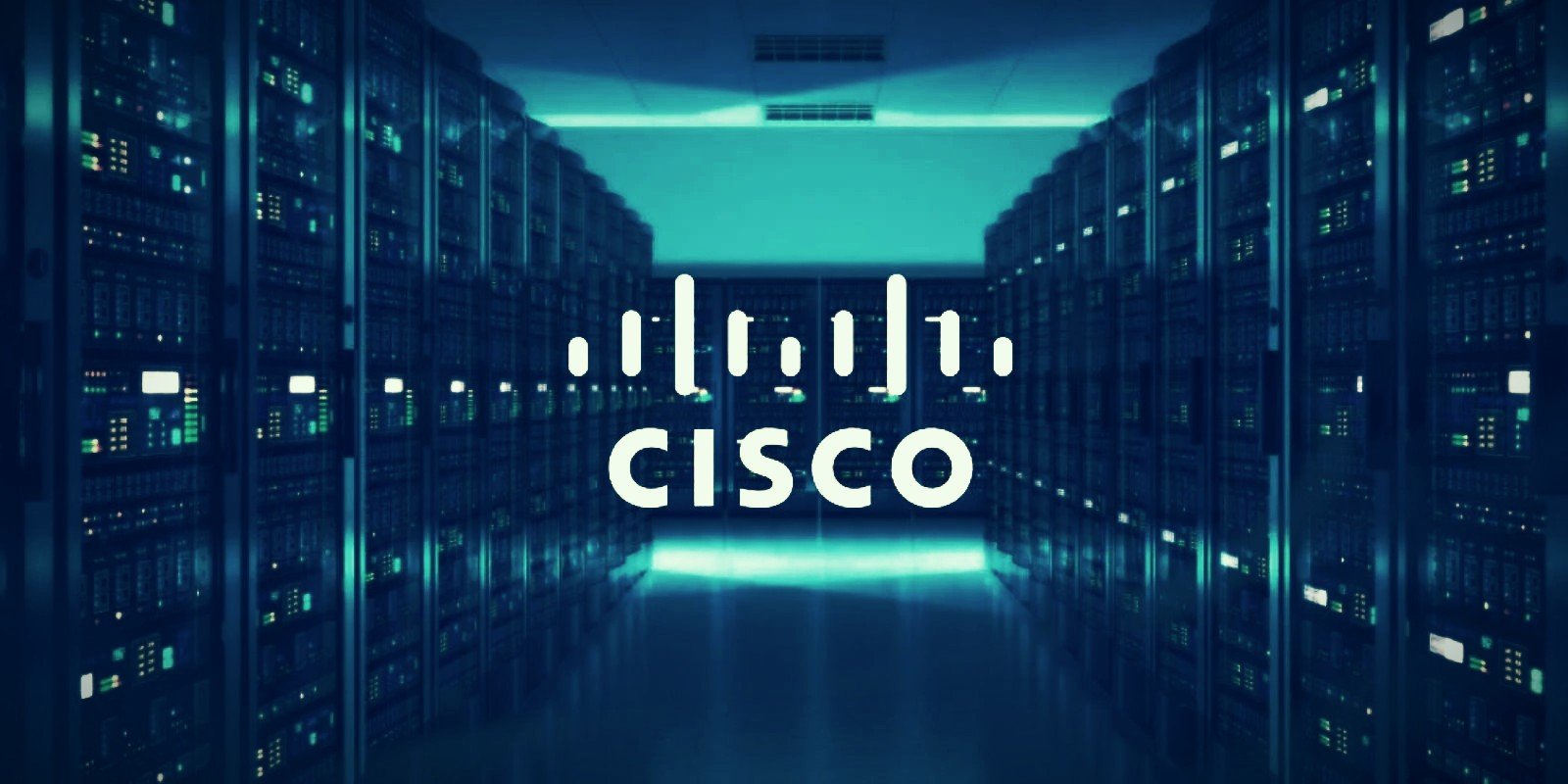 What Is The Best Paying Cisco Certification Track?